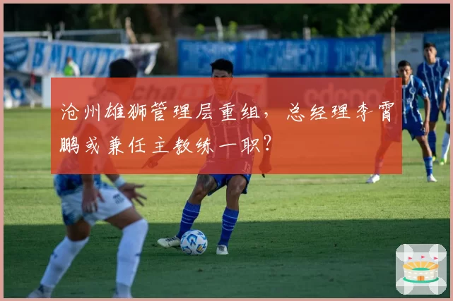 沧州雄狮管理层重组,总经理李霄鹏或兼任主教练一职?