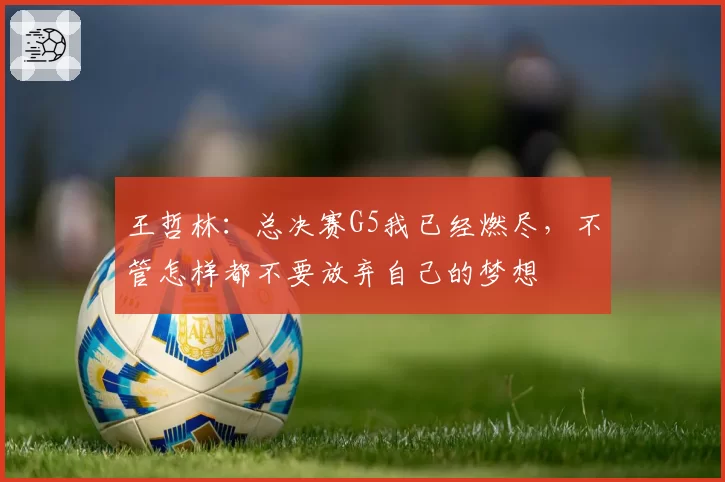 王哲林：总决赛G5我已经燃尽，不管怎样都不要放弃自己的梦想